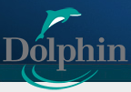DIS - Dolphin Interconnect Solutions